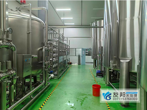 无菌线配套45吨/小时反渗